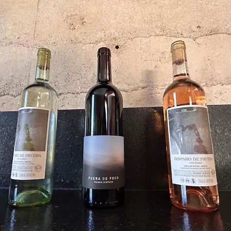 圣路易斯波托西 Choza Vinedo Bodega 1881旅馆 外观 照片